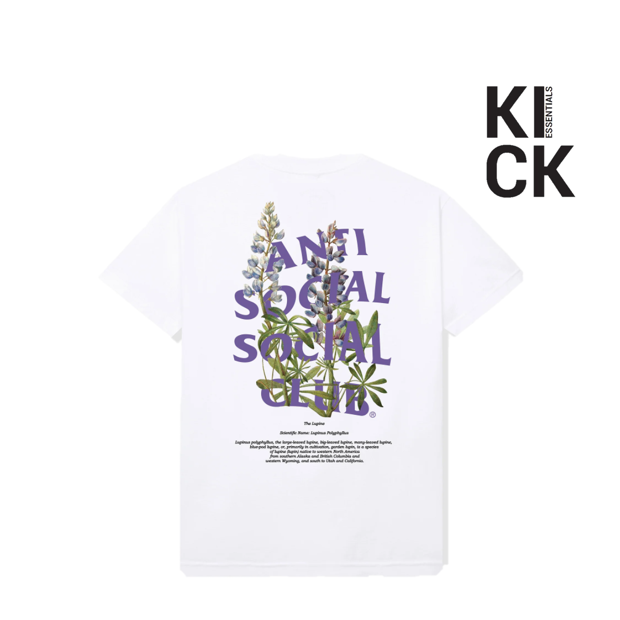 ANTI SOCIAL TEE 'LUPIN WHITE'