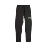 ESSENTIALS PANTS '1977 IRON'