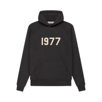 ESSENTIALS HOODIE '1977 IRON'