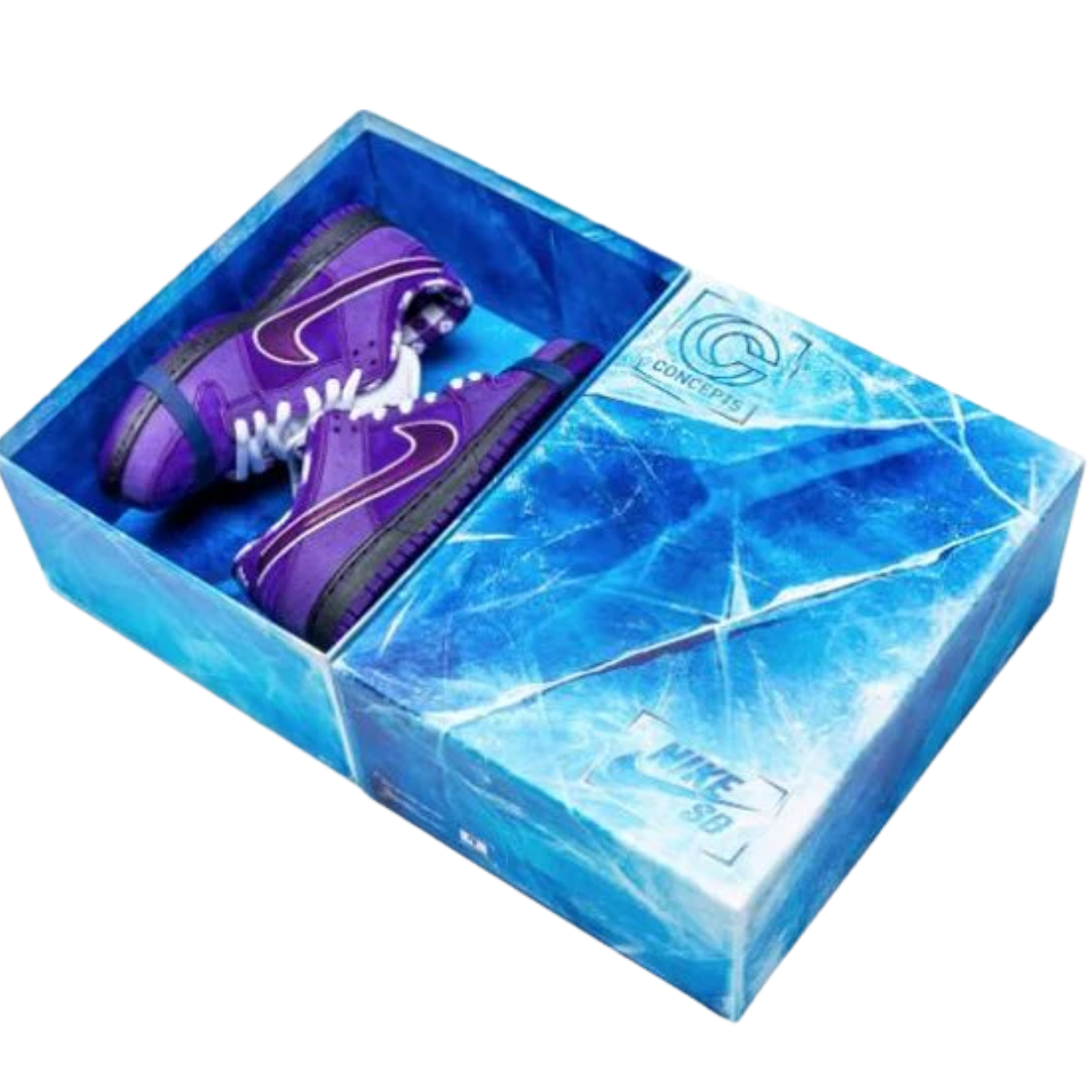 NIKE DUNK LOW 'CONCEPTS PURPLE LOBSTER SPECIAL BOX'