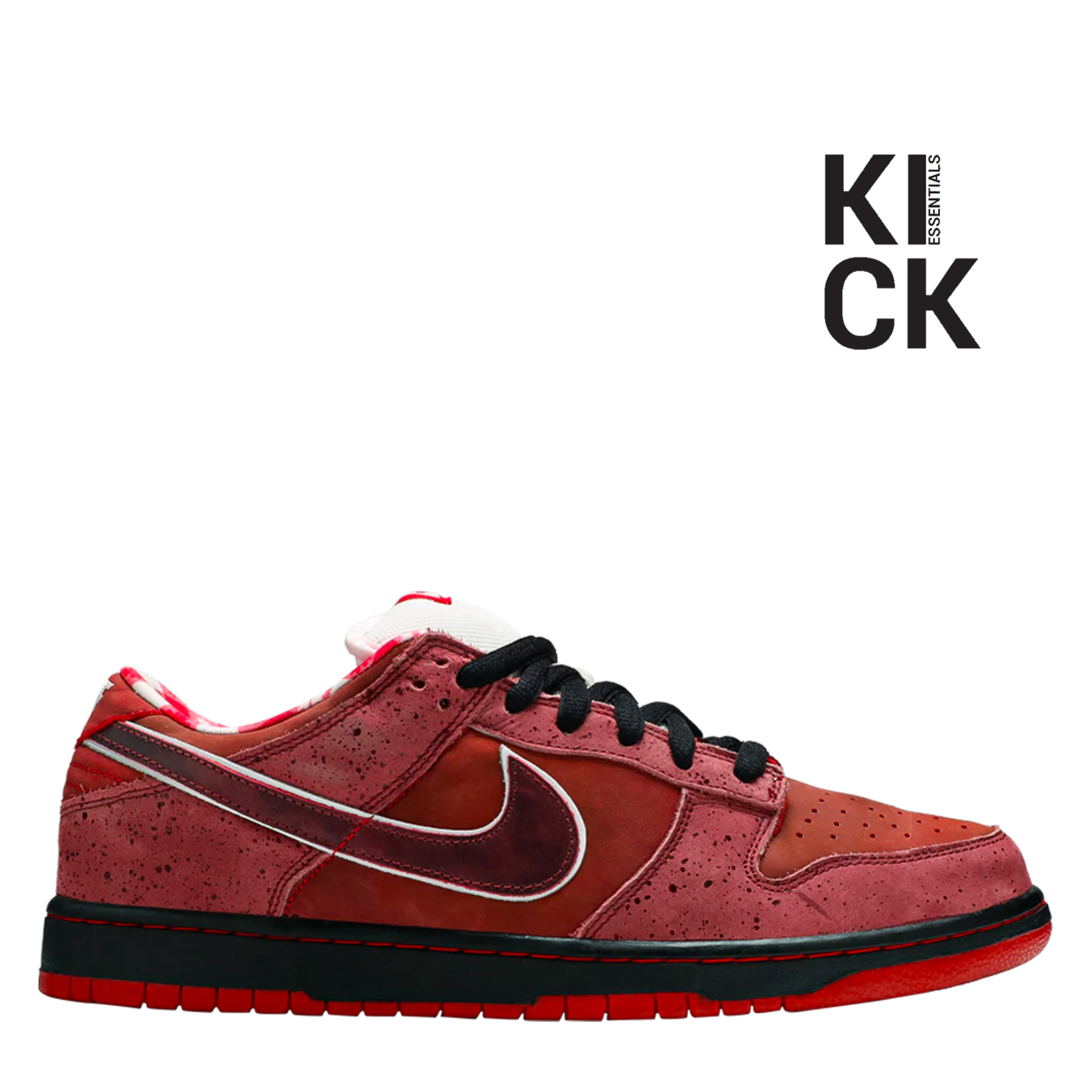 NIKE DUNK LOW 'CONCEPTS RED LOBSTER'