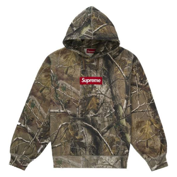 SUPREME HOODIE 'BOX LOGO FW25 REALTREE CAMO'
