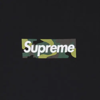 SUPREME TEE 'FW23 BOX LOGO CAMO'