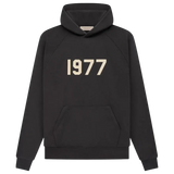 ESSENTIALS HOODIE '1977 IRON'