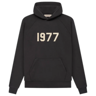 ESSENTIALS HOODIE '1977 IRON'