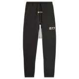 ESSENTIALS PANTS '1977 IRON'