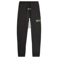 ESSENTIALS PANTS '1977 IRON'