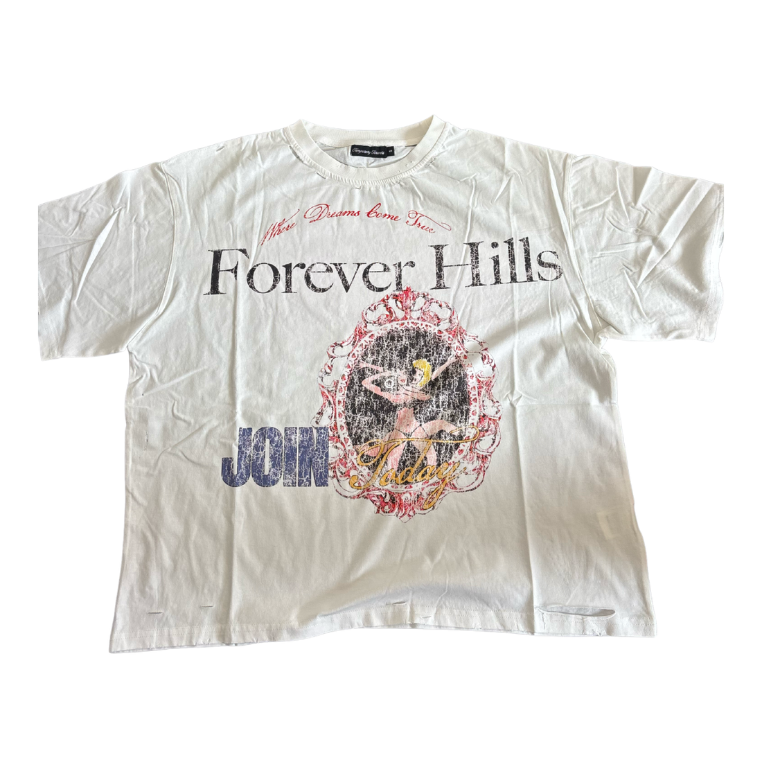 TEMPORARY FOREVERS TEE 'FOREVER HILLS'